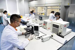 拼出新高度 十四項(xiàng)大舉措全面賦能高新區(qū)科技創(chuàng)新與科技中介服務(wù)升級(jí)