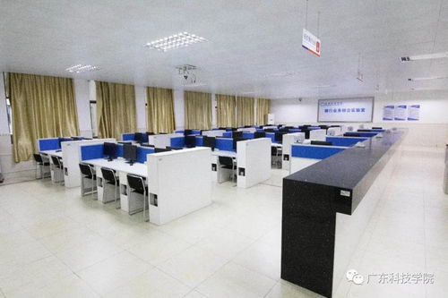 廣東科技學(xué)院41個(gè)本科專(zhuān)業(yè)巡禮 科技中介服務(wù)專(zhuān)業(yè)深度解析